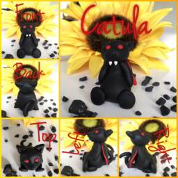 Catula - thumbnail 4