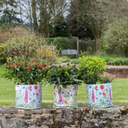 Iona Buchanan Meadow Fabric Eco Pots - 9L Lilac - thumbnail 4