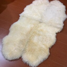 Genuine Sheepskin Rug - Oversized Ivory Fleece, Suede Back, Fluffy Living Room Accent - thumbnail 3