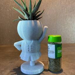 "Highland Dancer Gift Succulent Planter ""Wee Jimmy Fling" - thumbnail 3