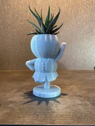 "Highland Dancer Gift Succulent Planter ""Wee Jimmy Fling" - thumbnail 1
