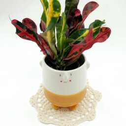Sr.miel Maceta De Cer??mica Divertido - Hecho A Mano ??nico Ideal Para Cactus, Suculentas, Flores. Regalo Los Amantes Las Plantas - thumbnail 3