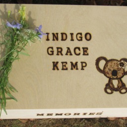 Koala Bear Wood Burned First Name Baby Keepsake Box With Animal Graphic Large Box 11.5 X 9 3.5 - thumbnail 2