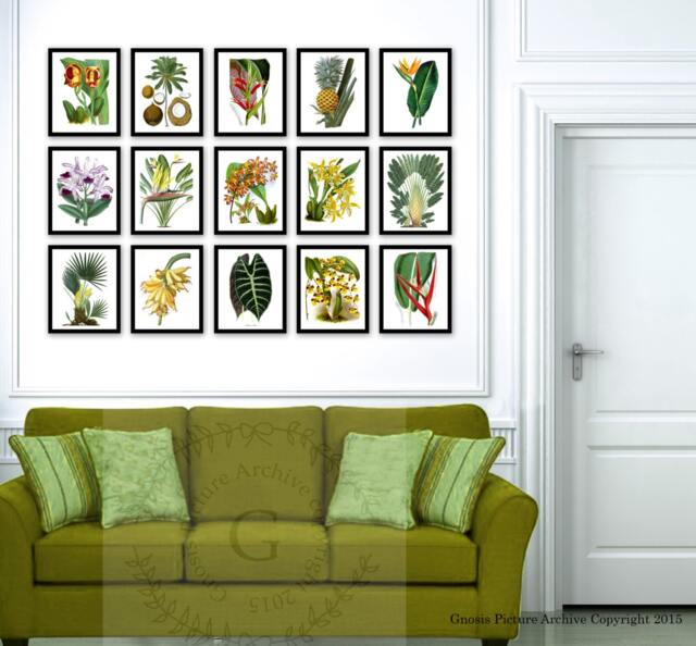 Fall Sale Tropical Wall Decor Set Of 15 Botanical Illustrations Art Prints, Fruits, Palm Leaves, Tree, Pineapple Print - image 1