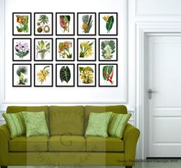 Fall Sale Tropical Wall Decor Set Of 15 Botanical Illustrations Art Prints, Fruits, Palm Leaves, Tree, Pineapple Print - thumbnail 1