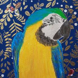 Blue & Yellow Parrot Portrait Painting in Dry Pastel Handmade Japanese Paper - thumbnail 2