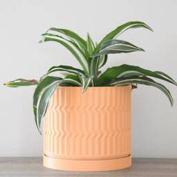 "Mabel Planter With Drainage & Saucer in Orange Sherbet, Boho 3D-Printed Plant Pot, Small To Large Sizes 4"" 5"" 6"" 7"" 8" - thumbnail 2