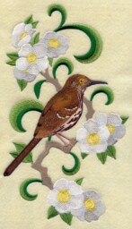 Georgia Brown Thrasher & Cherokee Rose Medley. Embroidered With Feather Insert - thumbnail 2