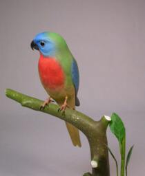 Splendid Grass Parakeet Wooden Carved Bird Carving - thumbnail 3