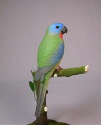 Splendid Grass Parakeet Wooden Carved Bird Carving - thumbnail 2