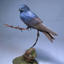 Purple Martin Wooden Hand Carved Bird Carving - thumbnail 3