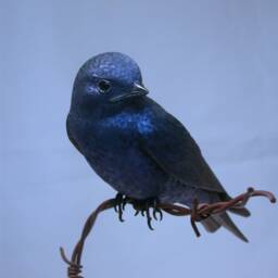 Purple Martin Wooden Hand Carved Bird Carving - thumbnail 2