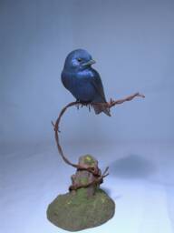Purple Martin Wooden Hand Carved Bird Carving