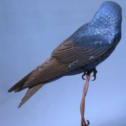 Purple Martin Wooden Hand Carved Bird Carving - thumbnail 4