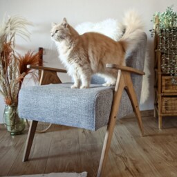Handmade Mid-Century Armchair Gray Linen, Solid Beech Wood - thumbnail 3