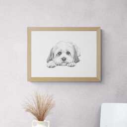 Lhasa Apso Print, Cute Dog Vintage Sketch, Farmhouse Decor, Gifts - thumbnail 3