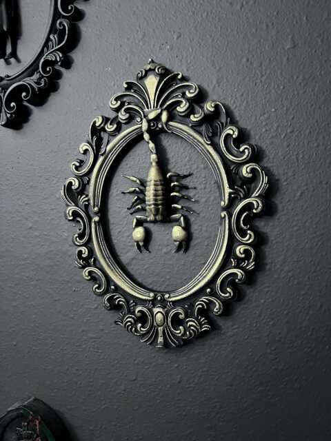 Gothic Framed Hanging Scorpion Wall Decor - image 1
