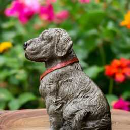 Concrete Labrador Puppy Statue With Red Collar Cement Dog Figurine Outdoor Garden Ornament Stone Pet Sculpture Yard Decor Dog Lover Gift - thumbnail 4