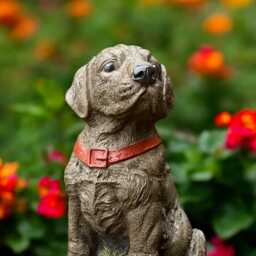 Concrete Labrador Puppy Statue With Red Collar Cement Dog Figurine Outdoor Garden Ornament Stone Pet Sculpture Yard Decor Dog Lover Gift - thumbnail 3