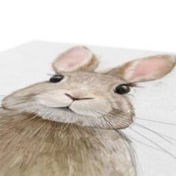 Rabbit Canvas Print Wildlife Animal Art, Bunny Home Decor - thumbnail 2