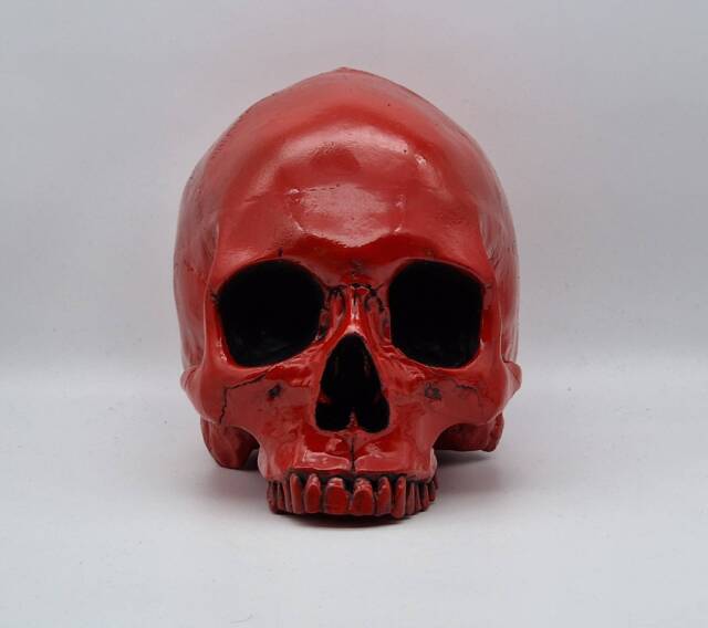Red Skull. Plaster Of Paris Life Size Human Skull Replica - image 1