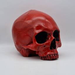Red Skull. Plaster Of Paris Life Size Human Skull Replica - thumbnail 3