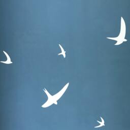 Flying Birds Wall Decals Set Of 12 Unique Girls Bedroom Decor - Playroom Stickers Best Spring Home Kids Room Art - thumbnail 3