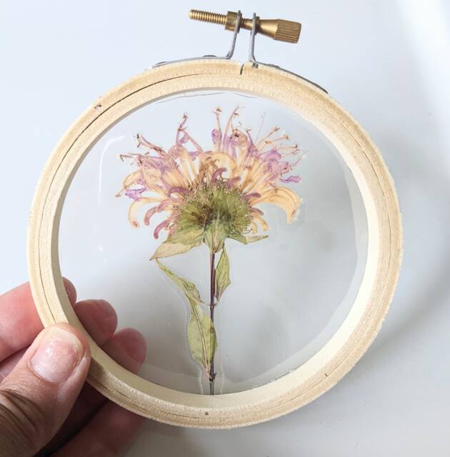 Framed Flowers Wall Art, Pink Monarda Flower, Hoop Art Decor, Botanical Gifts, Floral Arts, Flower Nature Lovers Gift - image 1