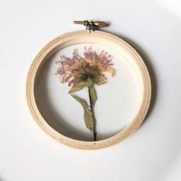 Framed Flowers Wall Art, Pink Monarda Flower, Hoop Art Decor, Botanical Gifts, Floral Arts, Flower Nature Lovers Gift - thumbnail 2