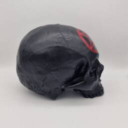 Pentagram Plaster Of Paris Life Size Human Skull Replica - thumbnail 4