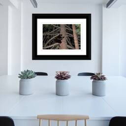Instant Download Bear Wall Art, Lake Tahoe, Printable Art Wild Nature Decor, Decor in Tree - thumbnail 4