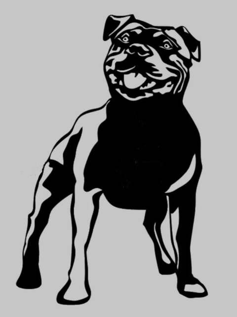 Staffordshire Bull Terrier Dog Vinyl Wall Art Sticker Decal Staffy Decor Car Van Bonnet Side Graphic Sign Motorhome