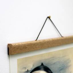 Dolphin Canvas Print With Oak Magnetic Hanger, Marine Life Art - thumbnail 2