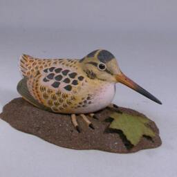 6 Inches American Woodcock Hand Carved Bird - thumbnail 3