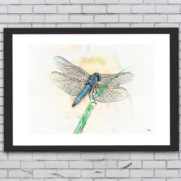 Nursery Room/ Rustic Art/ Cabin Dragonfly Print/ Prints/ Wall Home Decor/ Kids Instant Download - thumbnail 2