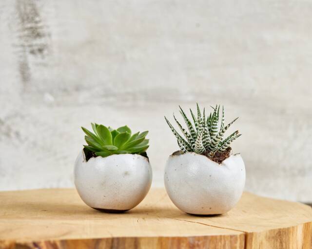 Set Of 2 Medium Shiny White Ceramic Planter Pot, Kitchen/Living Room Bathroom Eclectic Decor, Housewarming Gift - image 1