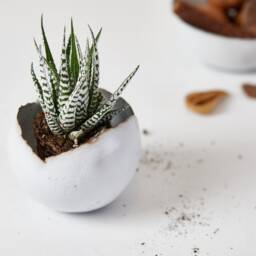 Set Of 2 Medium Shiny White Ceramic Planter Pot, Kitchen/Living Room Bathroom Eclectic Decor, Housewarming Gift - thumbnail 3