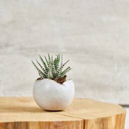 Set Of 2 Medium Shiny White Ceramic Planter Pot, Kitchen/Living Room Bathroom Eclectic Decor, Housewarming Gift - thumbnail 2