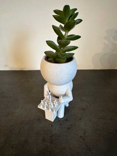 "Chess Player Succulent Planter Airplant Holder Cactus Plant Pot ""Wee Jimmy Solo Chess" - image 1
