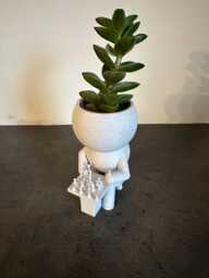 "Chess Player Succulent Planter Airplant Holder Cactus Plant Pot ""Wee Jimmy Solo Chess" - thumbnail 1