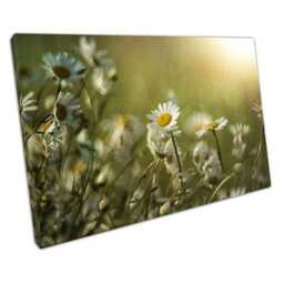 Retro Daisy Canvas Wall Art Vibrant Floral Print For Home & Office Decor - Ready To Hang - thumbnail 1