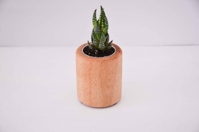 Tall Succulent Planter, Crafted From Nsw Oak, Christmas Gift, Wooden Pot Plant, Desk Accessories, Miniature Succulent, Made in Australia - image 1