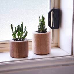 Tall Succulent Planter, Crafted From Nsw Oak, Christmas Gift, Wooden Pot Plant, Desk Accessories, Miniature Succulent, Made in Australia - thumbnail 4