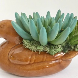 Decorative Ceramic Brown Duck Decoy Planter With Artificial Green Grass Succulent - thumbnail 2