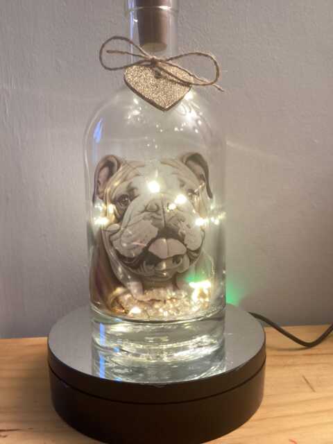 English Bulldog Light Up Bottle, Bottle Lamp With Gift Messaging Service & Bag - image 1