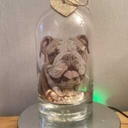 English Bulldog Light Up Bottle, Bottle Lamp With Gift Messaging Service & Bag - thumbnail 3