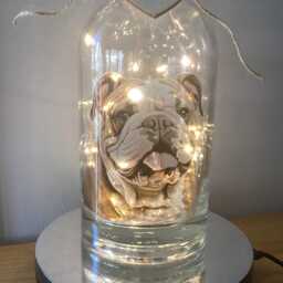 English Bulldog Light Up Bottle, Bottle Lamp With Gift Messaging Service & Bag - thumbnail 2