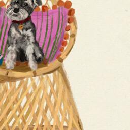 Schnauzer Print - Dogs On Chairs Collection 5x7 Inches/A5 A4 A3 - thumbnail 3