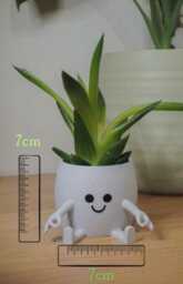 Happy Happie Planter, Cute Funny Plant Pot, Peace Lover Gift, Fun Modern Home Decor - Fast Delivery - thumbnail 4
