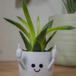 Happy Happie Planter, Cute Funny Plant Pot, Peace Lover Gift, Fun Modern Home Decor - Fast Delivery - thumbnail 3